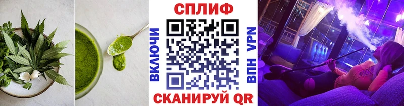 где купить наркоту  Шагонар  MEGA как войти  Canna-Cookies конопля 