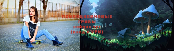 круглые Гусев