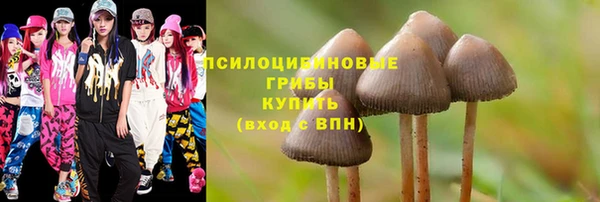 круглые Гусев