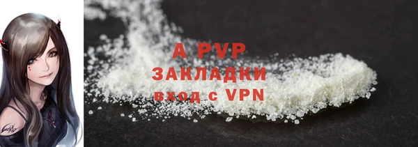 круглые Гусев