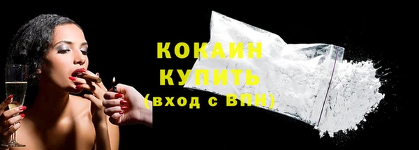 круглые Гусев