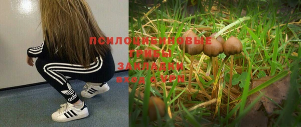 круглые Гусев