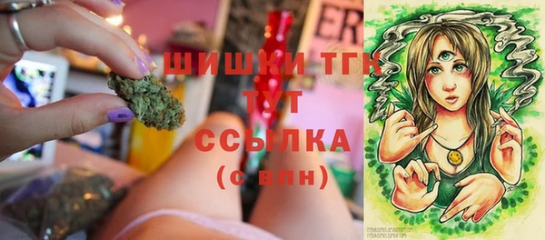 круглые Гусев
