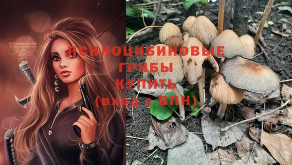jwh Гусиноозёрск