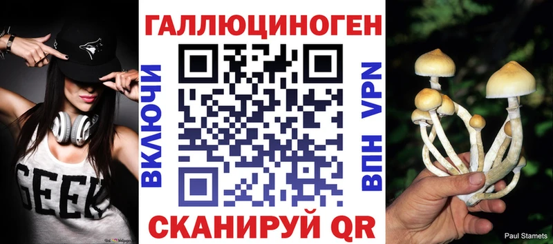 купить закладку  kraken ССЫЛКА  Галлюциногенные грибы GOLDEN TEACHER  Шагонар 